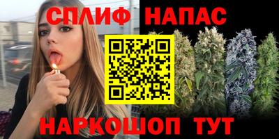 ECSTASY Пушкино