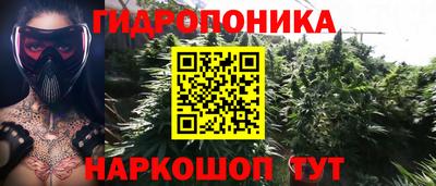 ECSTASY Пушкино